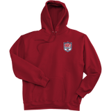 Knights Youth Football Super Heavyweight Fleece Hoodie