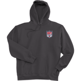 Knights Youth Football Super Heavyweight Fleece Hoodie